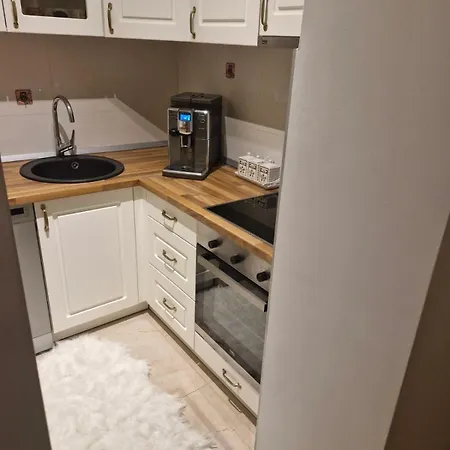 Greenville * Banja Luka